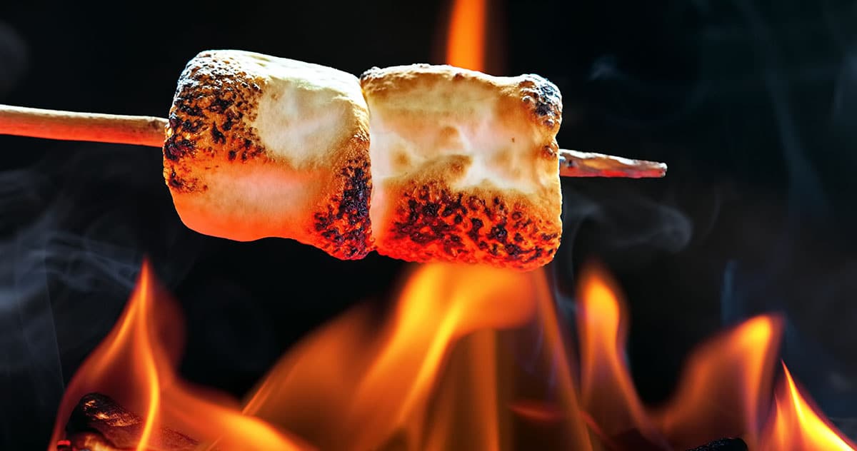 Roasting Marshmallows Over Campfire Horizontal Banner - adogslifephoto (Adobe Stock 114524619)