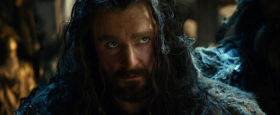 The Hobbit - Smaugs Einöde mit Richard-Armitage als Thorin Eichenschild - © 2014 Warner Bros. Ent. TM Saul Zaentz Co.